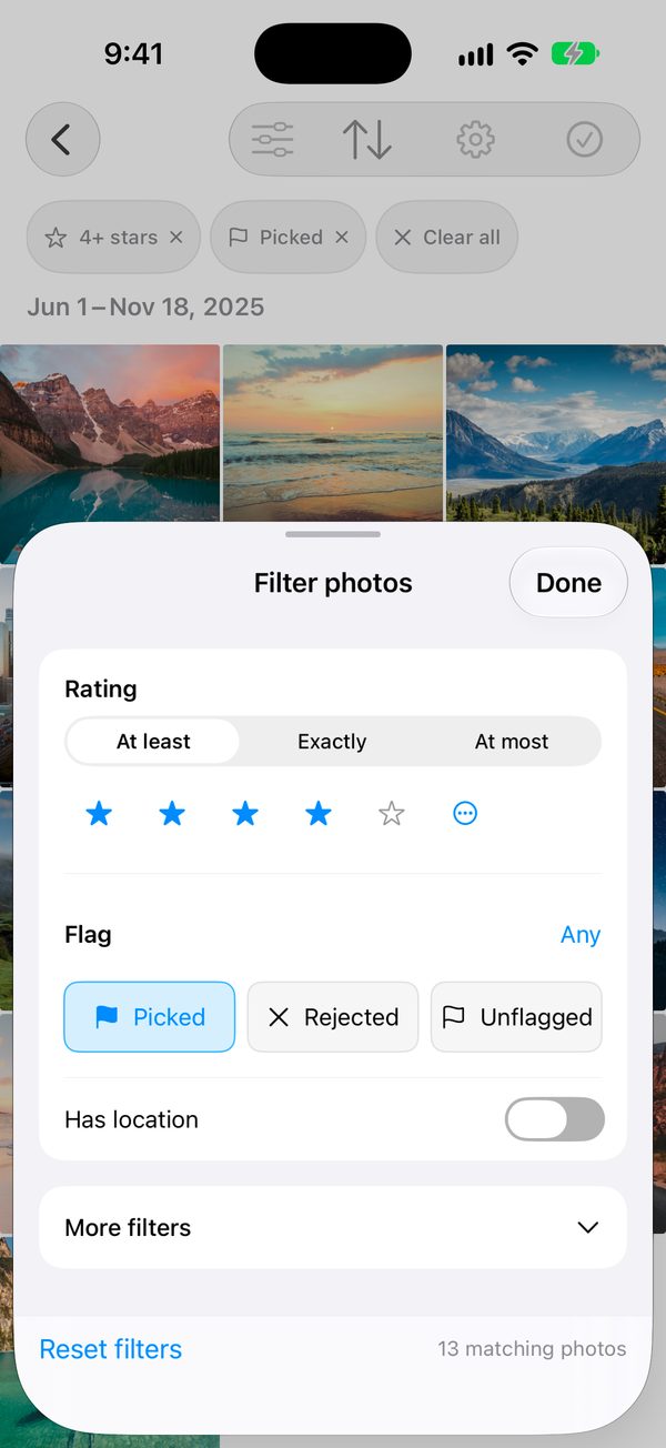 Filter sheet set to four stars or more and picked
