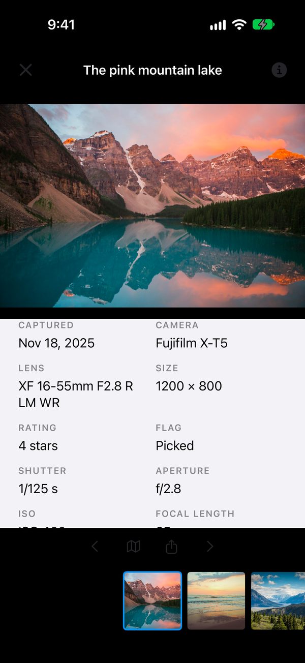 A photo with its rating, flag and camera details
